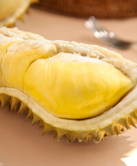 Fresh Golden Durian Fruit Segments in Shell - Thailand Tropical Exotic King of Fruits