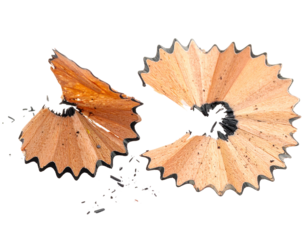 Close-up of two wooden pencil shavings with graphite core and small debris