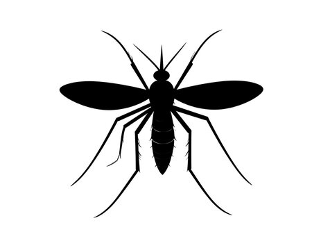Black silhouette of a mosquito insect on white background, wings spread, legs angled