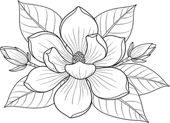 Elegant black and white line art illustration of a blooming magnolia flower with detailed petals, leaves, and buds, perfect for coloring pages, tattoos, or botanical design projects.