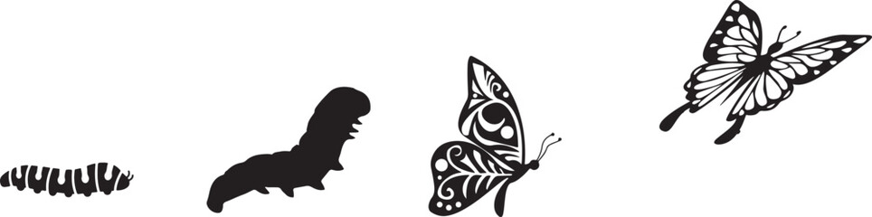 Stages of butterfly metamorphosis from caterpillar to adult butterfly in silhouette insect life cycle © BestZone