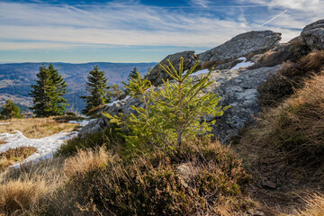 Bäume und Felsen in der Landschaft eines Berges im Herbst mit schneebedeckten Stellen