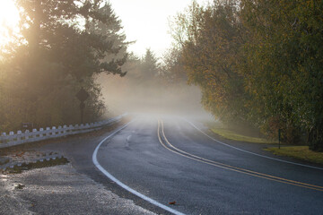 Fototapeta premium Foggy morning road in Oregon USA during autumn sunrise with soft golden light and trees in fall colors. Peaceful seasonal atmosphere capturing the beauty of a winding forest road in calm misty weather