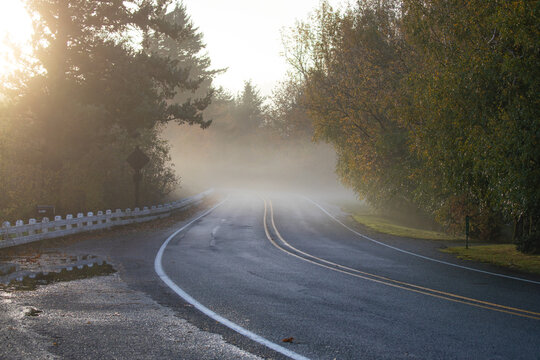 Foggy morning road in Oregon USA during autumn sunrise with soft golden light and trees in fall colors. Peaceful seasonal atmosphere capturing the beauty of a winding forest road in calm misty weather