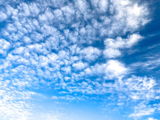 Soft white altocumulus clouds spread across the vivid blue sky under daylight, creating a textured and airy pattern that conveys a calm and peaceful atmosphere from a low upward view