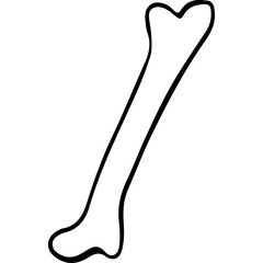 Simple Outline Drawing Of A Single Bone On A Transparent Background With A Black Border And White Fill Representing Anatomy And Health Concepts