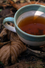 A cup of green tea in autumn leaves. Drinking tea in the forest, nature.