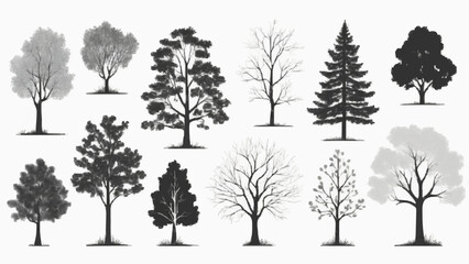 Obraz premium Set of tree vector and silhouette illustrations including oak, pine, birch, and palm, perfect for nature and forest designs in black and white