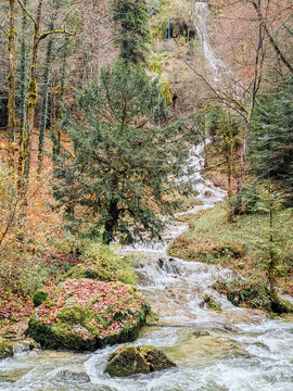 Rivi&egrave;re tumultueuse dans une for&ecirc;t en automne. Ruisseau dans les bois automnaux. Torrent de montagne. Chute de feuilles et source d'eau fra&icirc;che. Bois durant l'automne.