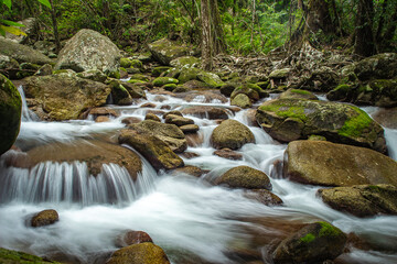 Obraz premium waterfall in the forest