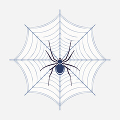 Obraz premium Spider in the center of its web, ready to hunt for prey.