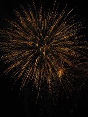 fireworks in the night sky