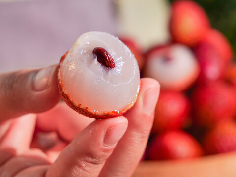 Hand holding peeled lychee fruit showing white flesh and red seed with tropical fruits in background