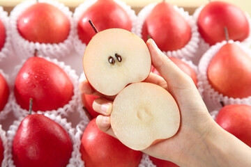 Fresh Red Shaanxi Pears with Sliced Fruit in Hand - Premium Imported Asian Pears