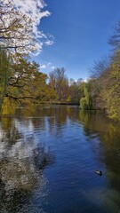 Autumn lake in Sofiyivka Park, Uman, Ukraine, surrounded by yellow and green trees, with a duck swimming and leaving ripples on the water reflecting the blue sky. Vertical mobile photo.