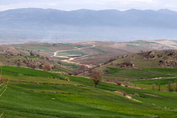 cultivated agricultural lands in spring