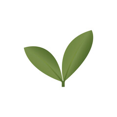 Leafy Duo: A simple yet elegant image of two vibrant, verdant leaves that symbolize the vitality of nature and the potential for growth. 