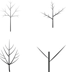 Tree Branch Diagrams: An abstract representation of tree branches, showcasing their structure and form through simple line diagrams.