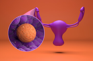 Human ovum (egg) move in Fallopian Tube - isometric view 3d illustration