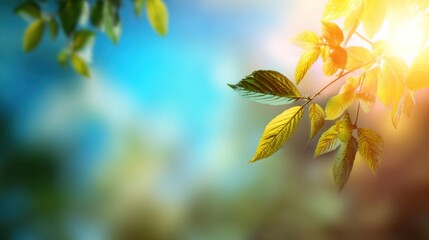 A close-up of vibrant green leaves illuminated by sunlight, set against a softly blurred blue and green background.