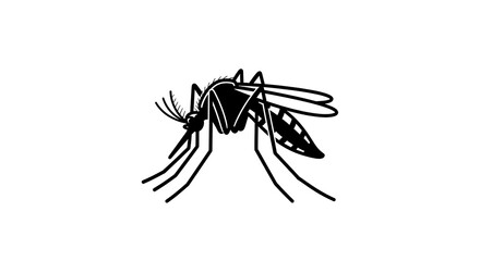 Mosquito insect illustration isolated