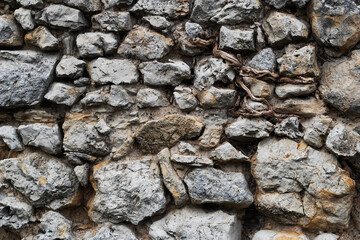 withered snake root in a stone wall
