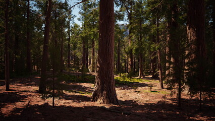 Tall trees stretch towards the bright blue sky while sunlight bathes the forest floor in warmth. A sense of calm surrounds the greenery, inviting peaceful reflection in nature.