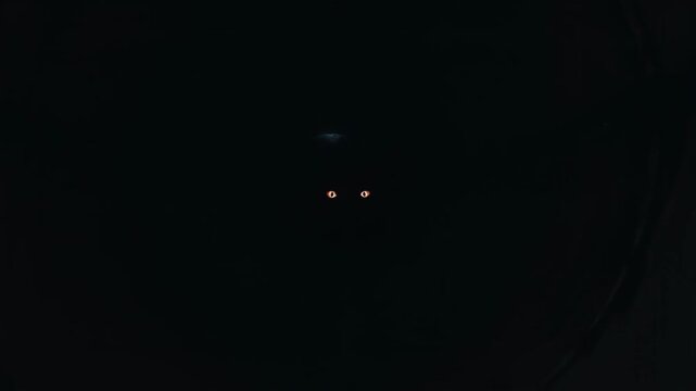 View from inside a dark, long tunnel towards a light exit with smoke. Scary, horror, abstract, mysterious footage.