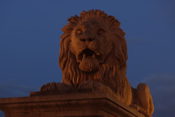 Lion statue at sunset in Budapest, Hungary