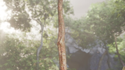 A tall, slender stick rises against a backdrop of vibrant, green foliage. Sunlight filters through the trees, creating a serene atmosphere near a gently flowing stream.