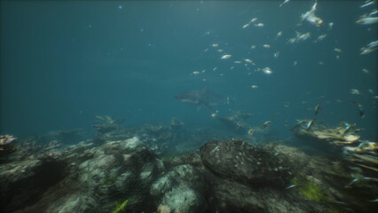 Exploring the vibrant underwater scene, schools of fish swim gracefully among rocks and sea plants under the bright midday sun. The ocean reveals its rich ecosystem in motion.