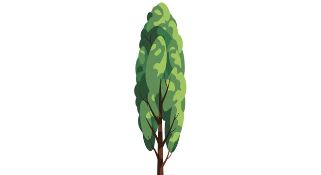 A minimalist digital illustration of a tall, narrow tree with lush green leaves and a sturdy brown trunk, set against a pristine white backdrop.