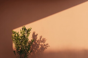 ai assists in crafting gratitude journal embodying mindfulness as emotions are visualized through light and shadow