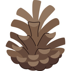 Brown Pine Cone With Open Scales And A Transparent Background Autumn Winter Nature Element