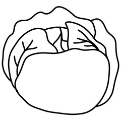 Minimalist Line Drawing of Whole Cabbage with Curled Leaves