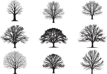 Obraz premium Collection of Silhouetted Deciduous Trees with Varied Branch Structures and Leaf Patterns 