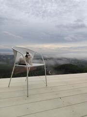 A white cat with black stripes on its face sits on a chair, looking at the morning mist from a high angle.