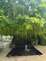 The garden corner is decorated with vines.