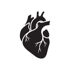 Human heart icon. Human heart silhouette icon vector flat illustration