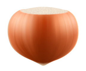 Hazelnuts in the shell. Isolated on white background. Hazelnut kernels are ripe and tasty, a healthy treat, a source of protein. For snacks and chocolate spread. Realistic 3d vector illustration.