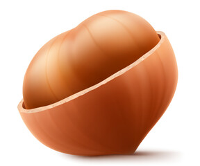 Half Peeled Hazelnuts Isolated on White Background. Hazelnut kernels are ripe and tasty, a healthy treat, a source of protein. For snacks and chocolate spread. Realistic 3d vector illustration.