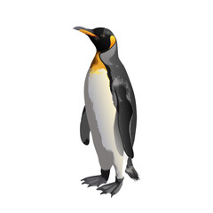 Fototapeta premium Majestic King Penguin Standing Upright. Realistic Antarctic Bird Vector Illustration