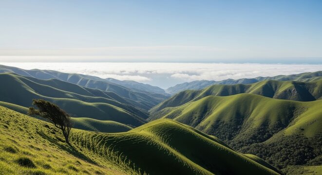 Rolling green hills under a clear blue sky, with a distant view of the ocean and clouds