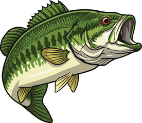 Jumping largemouth bass fishing predator aquatic wildlife vector