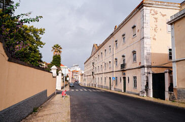 Fototapeta premium Quiet street scene in a city, featuring a wide road lined with buildings. Architecture is a mix of old and modern styles, with a palm tree visible. The sky is overcast, suggesting a calm atmosphere.