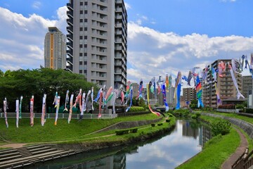 5月子供の日の鯉のぼり　埼玉県川口市