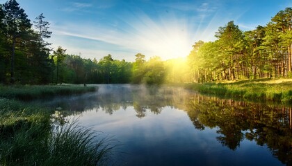 Obraz premium Serene Forest Landscape With Tranquil Water Reflecting Trees In Early Morning Light