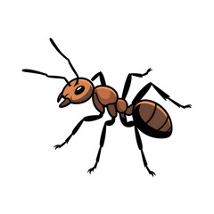 A ant illustration vector style