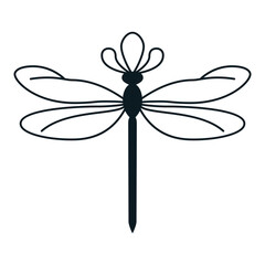 dragonfly vector illustration