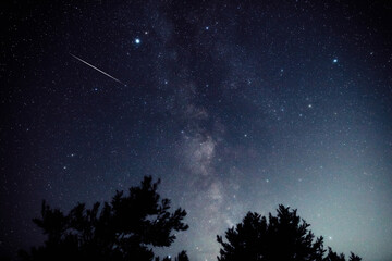 Naklejka premium Milky way stars and constellations with landscape silhouettes photographed from a dark countryside location.